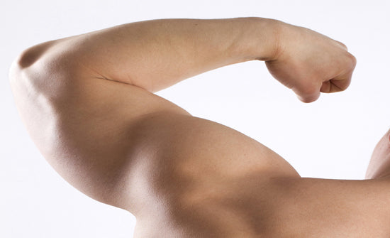 Arms @ The Body Barber™